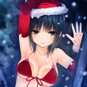 クリスマスコスした二次元美少女のエロ画像まとめ。 vol.3