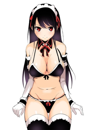 Hなメイドさんにご奉仕されたい二次エロ画像 その8