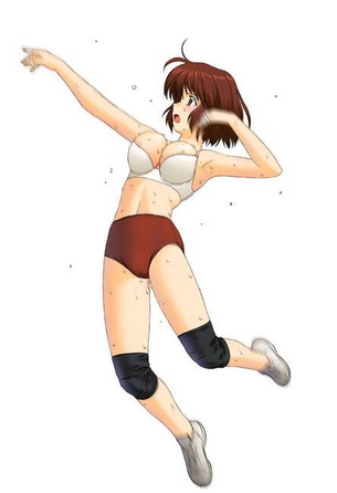 体操服・ブルマのエロ＆萌え画像まとめ！