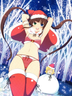 閃乱カグラのレベルが高いエロ画像