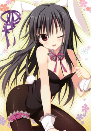 バニーガールってエロいよな？