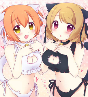 舐めまわしたくなっちゃう可愛い下着姿の女の子の二次エロ画像