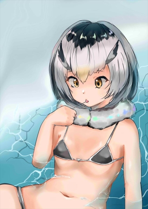けものフレンズの画像ください