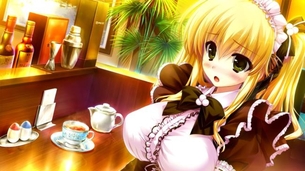 メイドのエロ画像なんです！