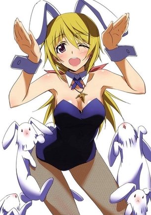バニーガールでしこれる二次画像ください！