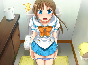 【ラッキースケベ】「トイレ開けたら女の子が入ってた！？」みたいな二次エロ画像