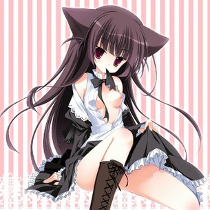 【俺の妹がこんなに可愛いわけがない】黒猫のエッチな画像見たいよね？