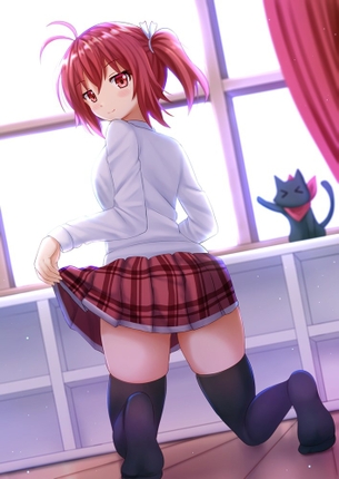 【二次】ニーソックス【画像】 その14