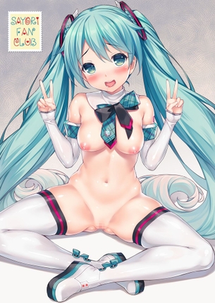 【二次】初音ミクエロ画像スレ