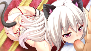 2次元 うさ耳？ネコ耳？キツネ耳？犬耳？クマ耳？本物？偽物？なんでもいいケモノ耳エロ画像まとめ 69枚