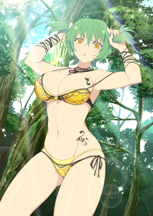 【画像大量】閃乱カグラのキャラをオカズにしたい時のエロイラスト集wwwwwwwwww