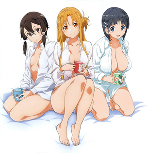 【ソードアート・オンライン（SAO)】 明日奈ちゃんや直葉ちゃんなどのエロ画像 第47弾