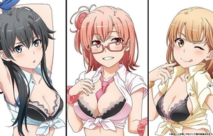 『俺ガイル』女の子たちのめっちゃエロい下着が丸見えみたいなエロ衣装のエログッズ！