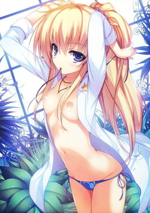 裸の二次エロ画像を愛でる。