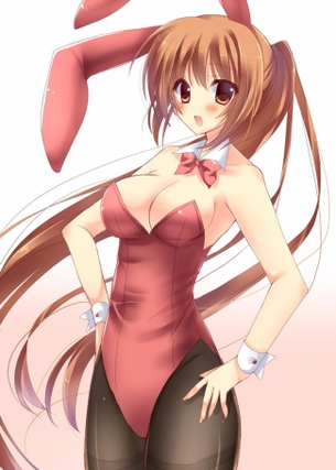 バニーガールってエロいよな？