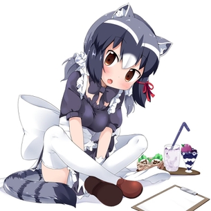 俺のとっておきのけものフレンズの画像フォルダを見せる