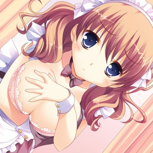 メイド服を着た二次元美少女のエロ画像 vol.13