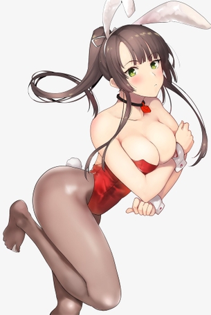 バニーガールのエロ画像がほしい！