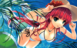 水着と下着面積は同じなのに なぜ水着だと見せていただけるのか サービスか!?