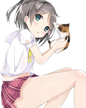 変態王子と笑わない猫。でとことんヌキヌキしたい