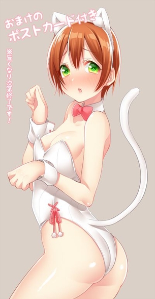 【ラブライブ！】二次元の世界に行って星空凛とめっちゃハメハメしたいと思わせるエロ画像まとめ