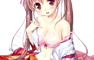 スイッチ版『千の刃濤、桃花染の皇姫』ブラがはだけてえっちなおっぱい丸見え店舗特典