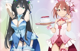 『結城友奈は勇者である』女の子のえっちなムチムチおっぱいのバニー姿のエログッズ！