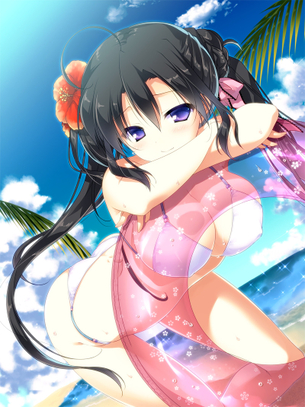 【二次】はち切れそうな巨乳ビキニの画像が見たい！ 8