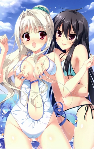 キレイでHな、厳選した二次エロイラストを貼ってくよ？ vol.1