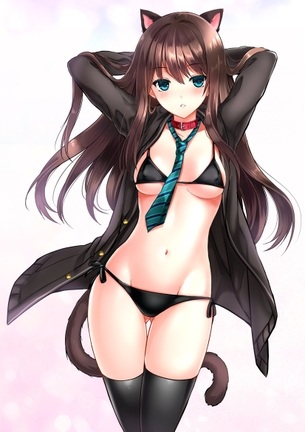 キレイでHな、厳選した二次エロイラストを貼ってくよ？ vol.6