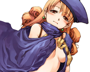 2次元 ドラクエに出てくる女キャラのエロ画像下さい。 65枚