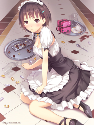 いろんなご奉仕をお願いしたい、メイドコスした二次美少女のエロ画像 vol.2