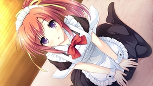 【二次・ZIP】スケベなご奉仕させたい美少女メイドさんの画像