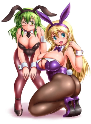 バニーガールの二次画像がヌけすぎてこまる件について