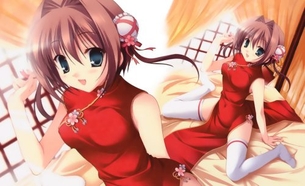 チャイナドレスの二次エロ画像を愛でる。