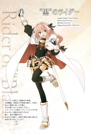 【二次・ZIP】Fateで一番かわいいアストルフォきゅんの画像まとめ