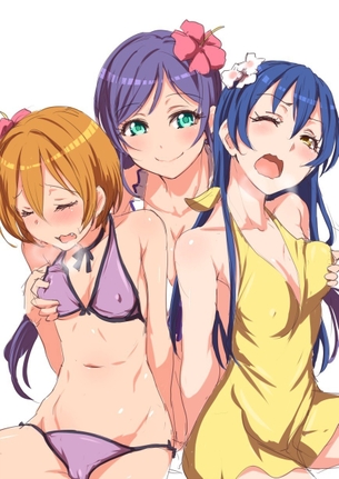 Hなアイドルは好きですか？ラブライブの画像詰め合わせ vol.4