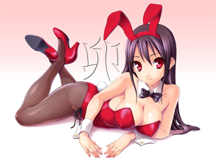 【二次・ZIP】バニーガールのコス着てる虹の美少女画像下さい！！