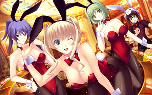 むき出しの鎖骨をprprしたい、バニーガール姿の美少女画像 vol.1