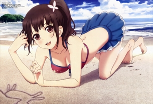 アニメのキャラクターたちのHな姿満載の公式ピンナップ詰め合わせ vol.9