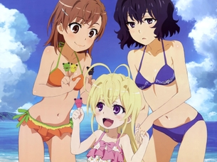 アニメのキャラクターたちのHな姿満載の公式ピンナップ詰め合わせ vol.2