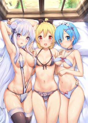 【リゼロ】 レム&ラム、エミリア、フェルト画像詰め合わせ! 6枚 【画像・壁紙】 （Re:ゼロから始める異世界生活 13）