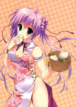 スリットからのぞく脚線美、チャイナドレスの二次エロ画像 vol.1