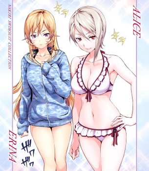 【二次・ZIP】健康的な肢体を晒してる水着姿の2次美少女画像