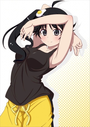 【化物語シリーズ】阿良々木火憐のエロ画像補給中！