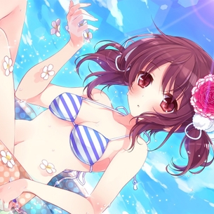 暑くなってきたし、二次の水着美少女の画像で涼むとしますか vol.6