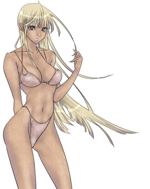 二次元の女の子のHなカラダを堪能できる水着画像 vol.1