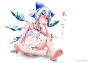 【二次・ZIP】クッソ暑いので東方のチルノちゃんの可愛い画像をください