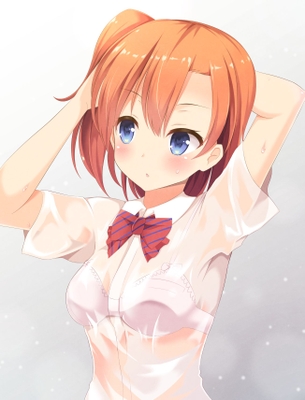 【二次・ZIP】濡れ濡れ透け透けの美少女画像を下さい！