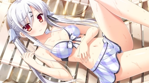 【二次・ZIP】エロ可愛い水着姿の美少女画像をください！！